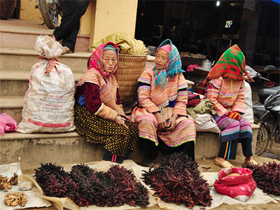 SAPA - BAC HA TOUR 3 DAYS 2 NIGHTS (BY BUS)