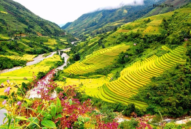 SAPA 2 DAYS - 1 NIGHT EASY TREKKING ( 1 NIGHT HOTEL STAY)